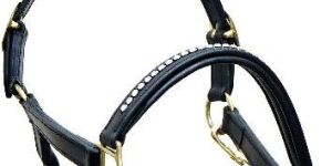 Horse Riding Equipment