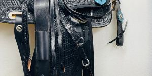 Horse Saddle Accessories