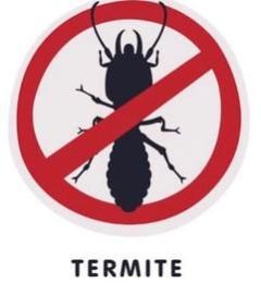 Termite Pest Control Service