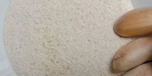 Jackfruit Seed Powder