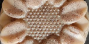 Aloe Vera Fragrance Donkey Milk Soap