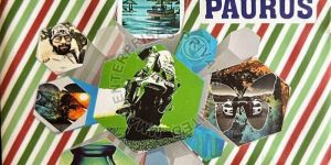 Polycarbonate HMC Lens