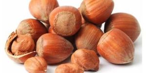 Dried Hazelnuts