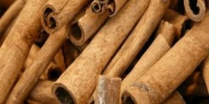 Cinnamon Stick