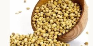 Coriander Seeds