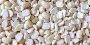 White Urad Dal Split
