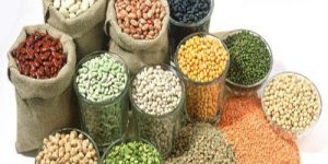 Pulses