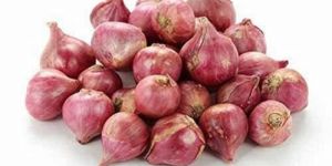 Fresh Sambar Onion