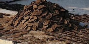 Dried Cow Dung Cake