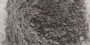 Dry Cow Dung Powder
