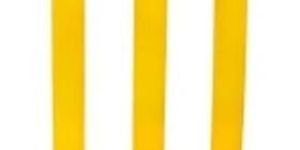 Premium Cricket Stump Set