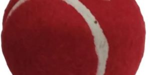 Tennis Cricket Ball