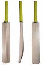 Kashmir Willow Cricket Bat