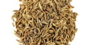 Cumin Seeds