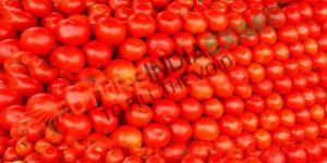 Fresh Red Tomato