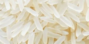 PR 11 Non Basmati Rice