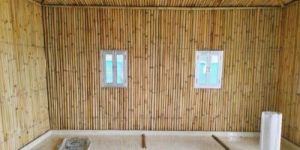 Bamboo Hut House
