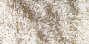 Steam Non Basmati Rice