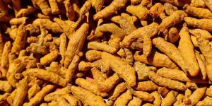 Turmeric Finger