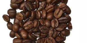Gourmet Coffee Beans