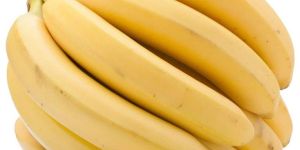 Indian Yellow Banana