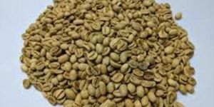 Monsooned Malabar Coffee Bean
