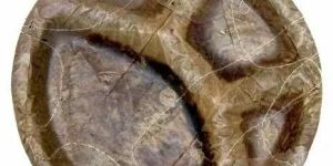 Brown Circular Leaf Pattal Plate