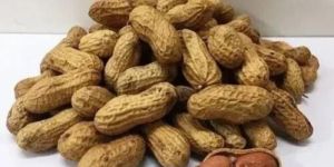 Whole Groundnut Peanut