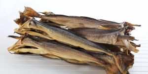 Dry Stock Fish
