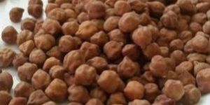 Brown Chana