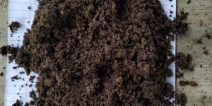 Coir Pith Powder
