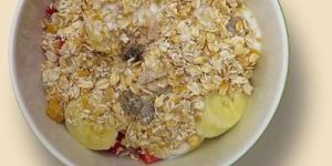 Breakfast Cereal for Pets