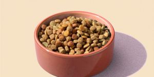 Dog Food Kibble