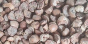 Natural Dried Supari