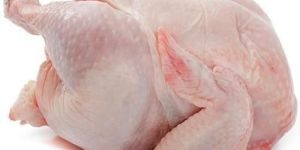 Fresh Indian Chicken Meat