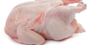 Fresh Whole Chicken Meat