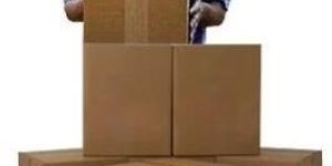 Packer and Mover Service