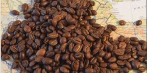 Brown Ethiopian Coffee Bean