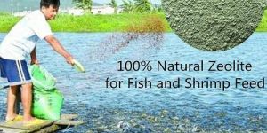 Zeolite Powder for Pond Fresh