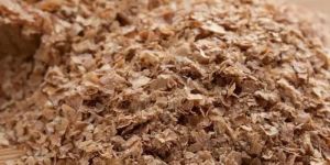 Wheat Bran