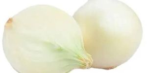 White Onion