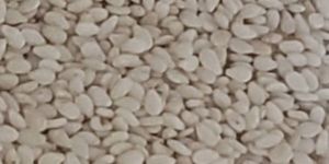 White Sesame Seeds
