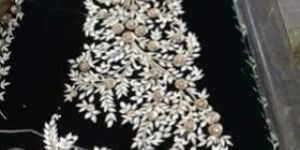 Ladies Lehenga Kali Fabric