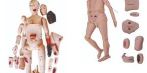 Nursing Mannequin Model