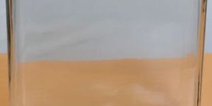 Rectangular Specimen Jar