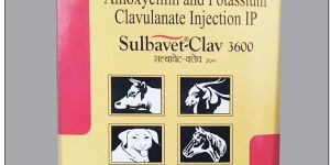 Sulbavet Clav 3.6