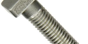 Mild Steel Square Bolt