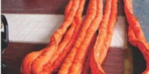 Two Path Round Slings