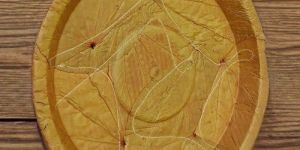 Eco Friendly Disposable Siali Buffet Plates