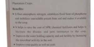 Anneo-N Bio Nitrogen Fertilizer Liquid